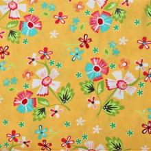 FY003 Moda Corey Yoder Little Miss Shabby Prairie