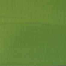 FG029 Grass