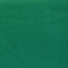 FG036 Green