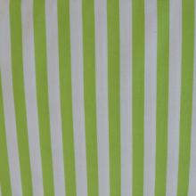 FG005 Moda Fabrics Moxi Studio M