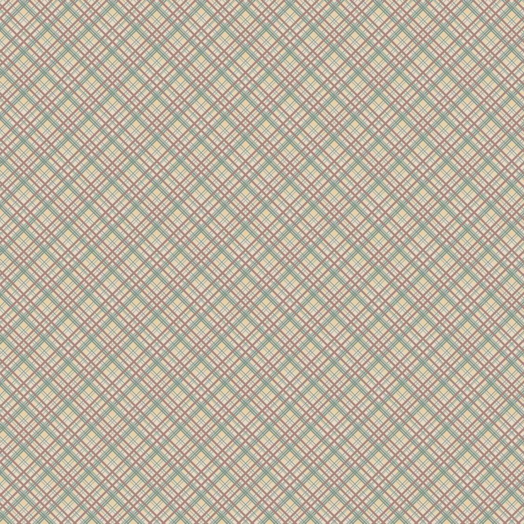 DV7746 Appleby Farm Check - Brown/Red